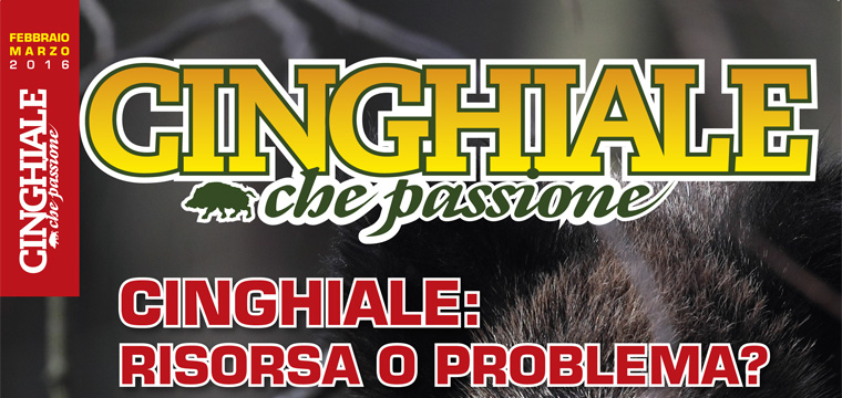 Matteo Brogi: Managing director of the bimonthly magazine Cinghiale che Passione. Since 2016, January