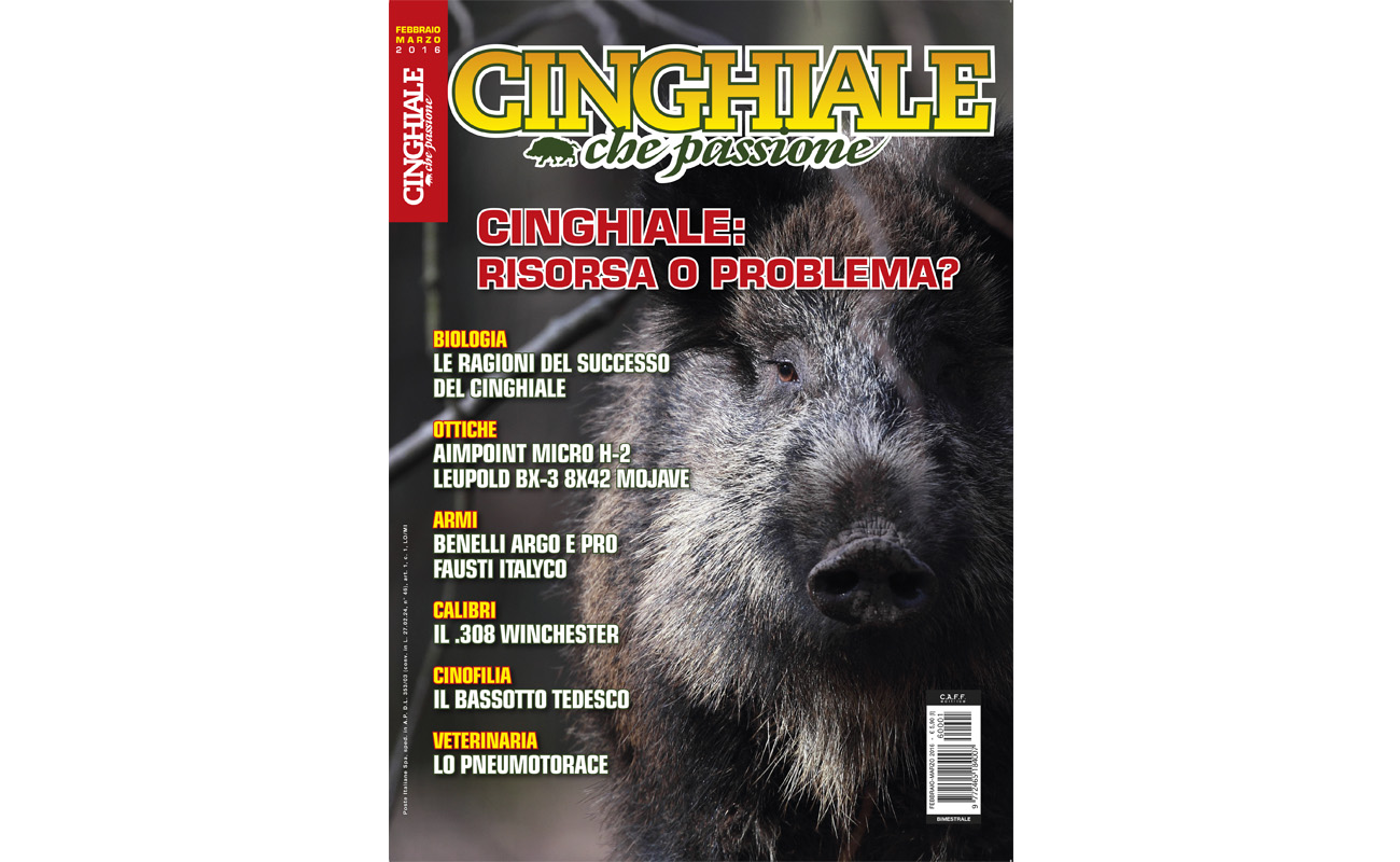 Matteo Brogi: Managing director of the bimonthly magazine Cinghiale che Passione. Since 2016, January