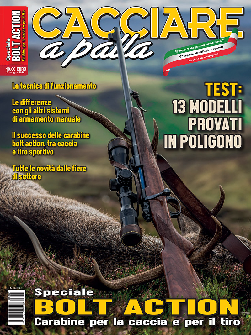 Matteo Brogi: Bolt action, the special issue