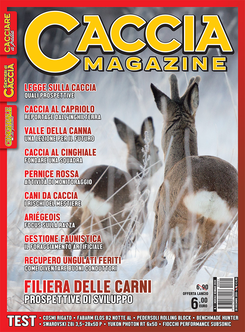 Matteo Brogi: Caccia Magazine, the Italian hunting mag
