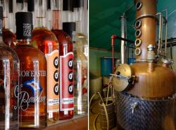 Distilleria Triple Eight distillery, isola di Nantucket © Matteo Brogi