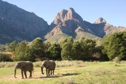 Fairy Glen Game Reserve © Matteo Brogi