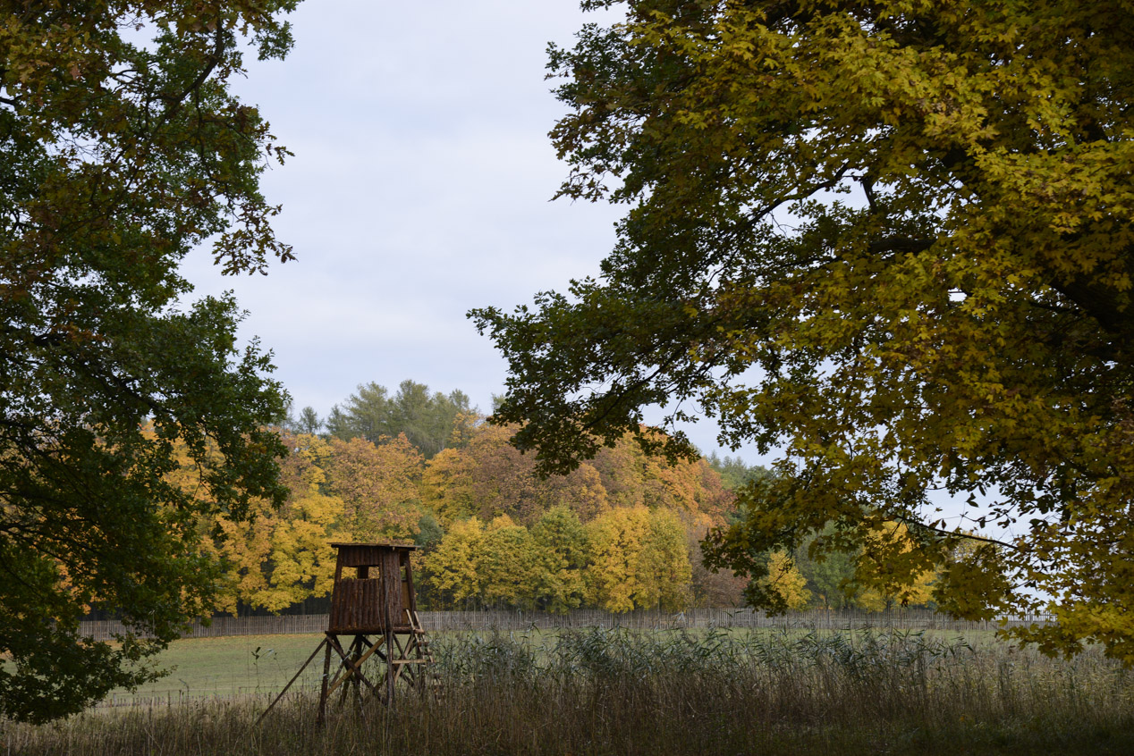 Mestec Kralove, Obora Hunting Academy, Czech Republic © Matteo Brogi