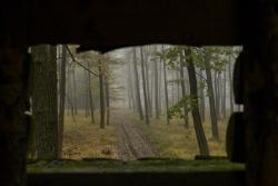 Mestec Kralove, Obora Hunting Academy, Czech Republic © Matteo Brogi