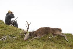 Glenborrodale, Highlands scozzesi © Matteo Brogi