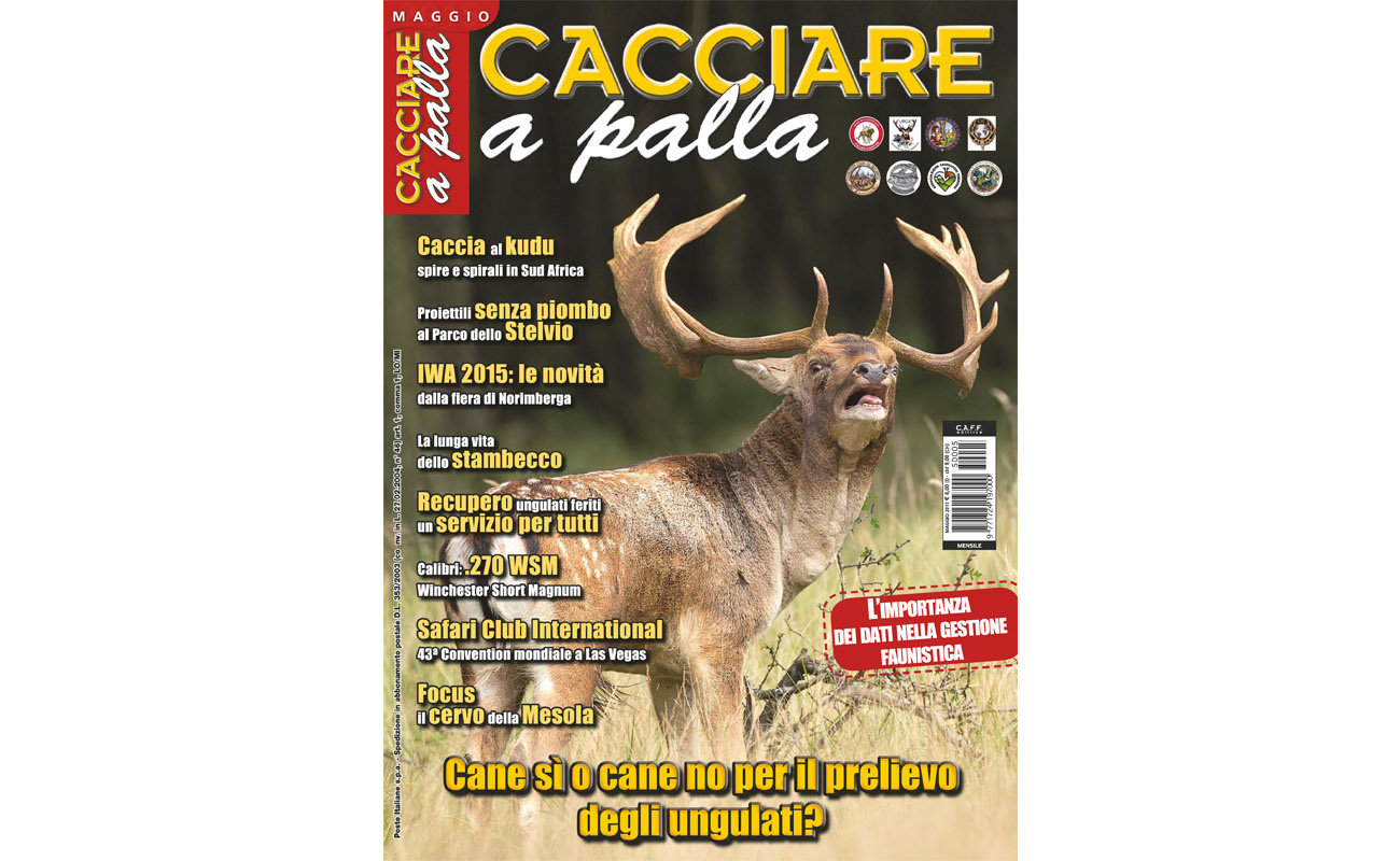 Matteo Brogi: Managing director of the monthly magazine Cacciare a Palla. Since 2015, April