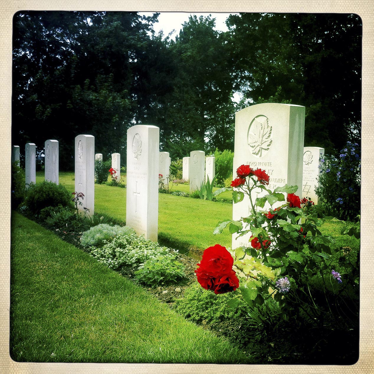 Cimitero canadese di Bény sur Mer – Riviers © Matteo Brogi